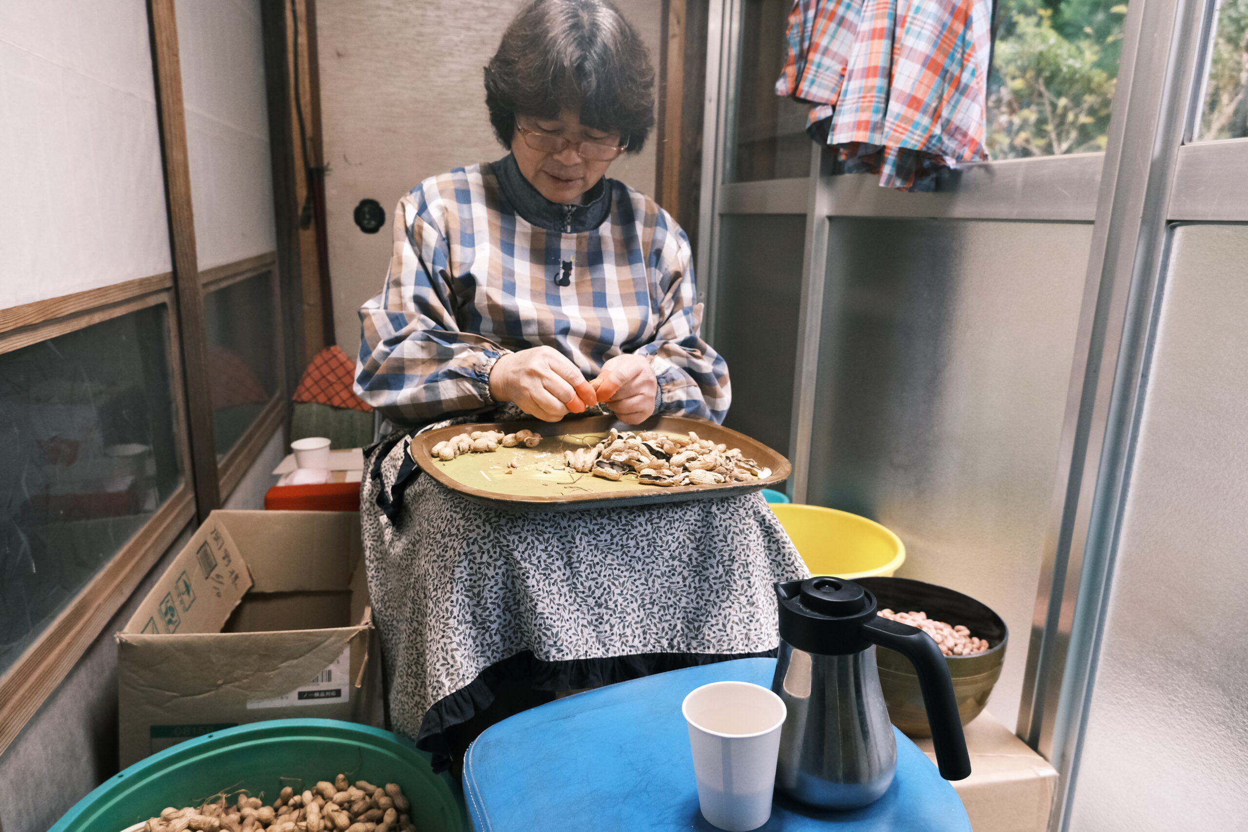 落花生を剥く手に刻まれた、島の時間